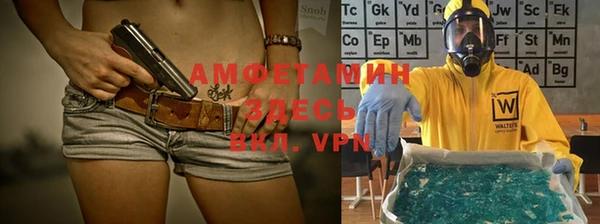 стаф Касимов