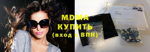 стаф Касимов