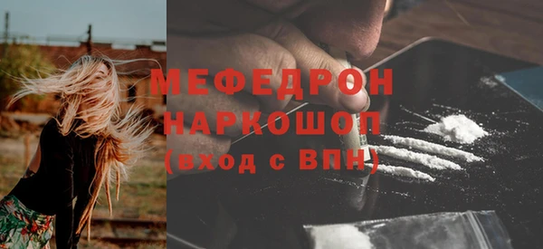 стаф Касимов
