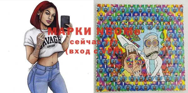 стаф Касимов