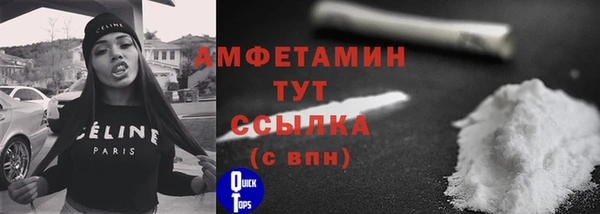 стаф Касимов