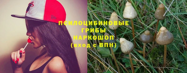 кокс Карпинск