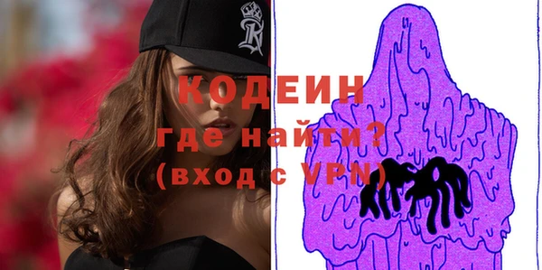 стаф Касимов