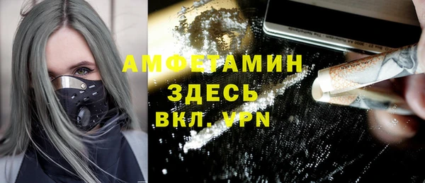 стаф Касимов
