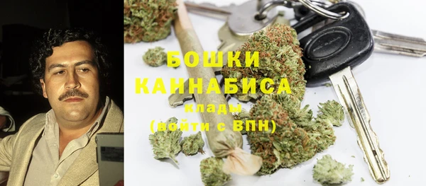 стаф Касимов