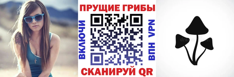 Купить закладки  Звенигово  Галлюциногенные грибы Psilocybe 